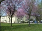 Fondazione Nuvolari - Fondazione Antonio Nuvolari